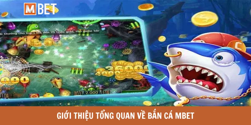 Tại sao nên chọn Bắn cá Mbet?