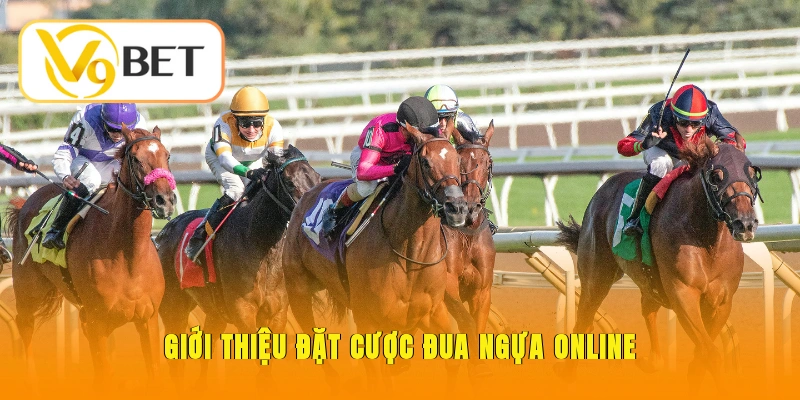 Giới thiệu sơ lược về đặt cược đua ngựa online