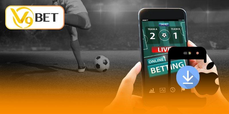 Kèo 1/2 là gì - Cẩm nang cá cược, dẫn lối thành công